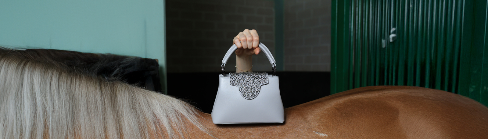 Elegance on your Shoulder